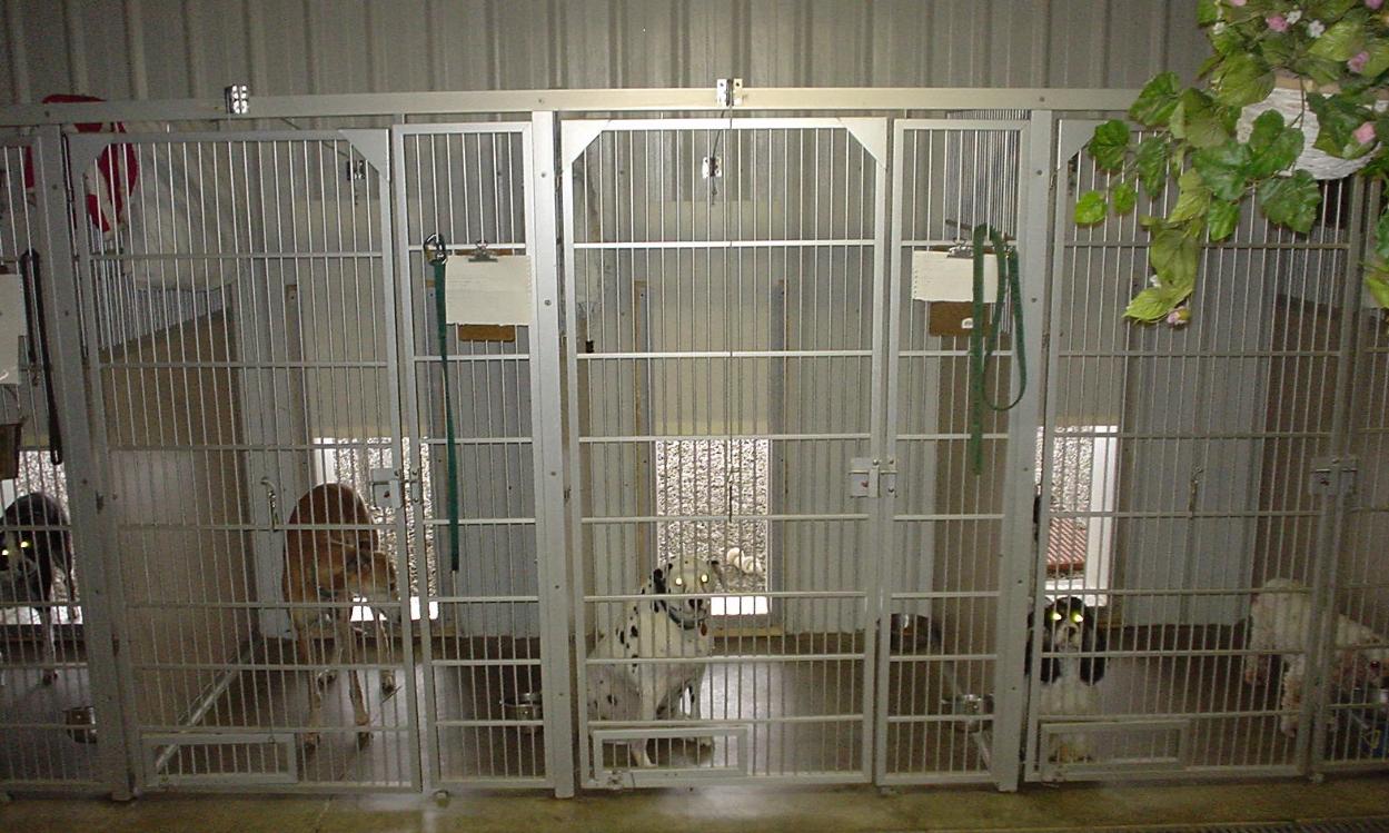 Dog Kennel Shipping Container conversion